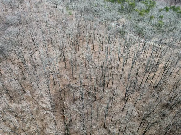 0 Clearview Dr, Talking Rock, GA 30175