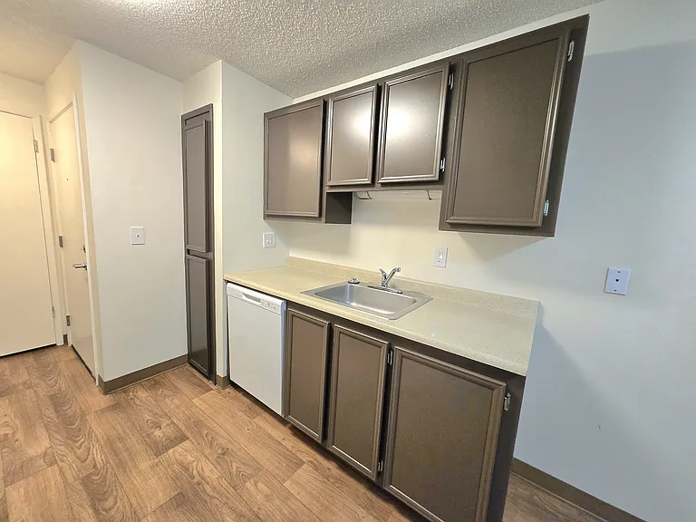 1x1 700sqft- Kitchen with Dishwasher
