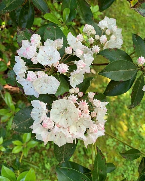 0 Rd 1, Mechanicsville, VA 23116 Zillow