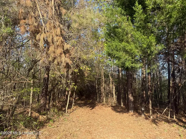 Robert Ford Rd, Waterford, MS 38685