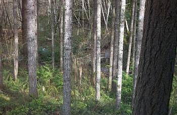 5th image of 22512 Bluewater Dr SE