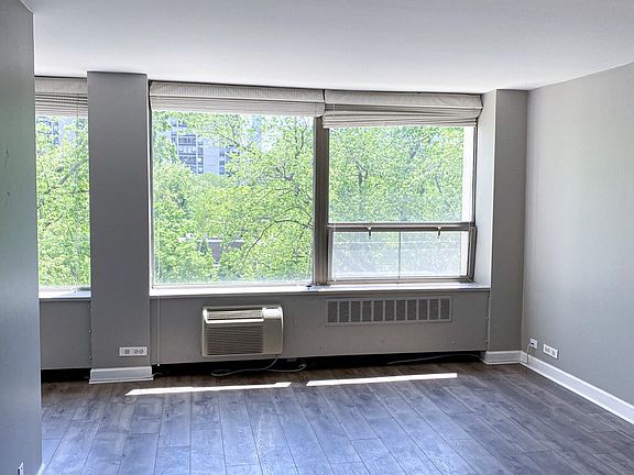 5th image of 1460 N Sandburg Ter APT 409A