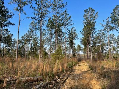 0 Flowers Dr, Blakely, GA, 39823