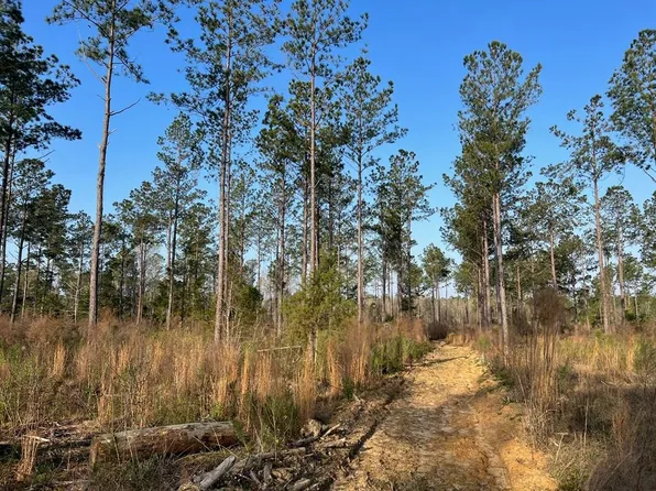 0 Flowers Dr, Blakely, GA 39823