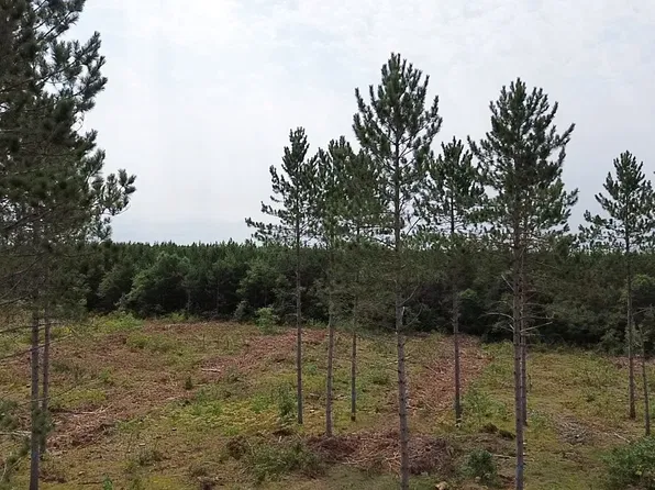 211X Ellison Lake Road, Barnes, WI 54873
