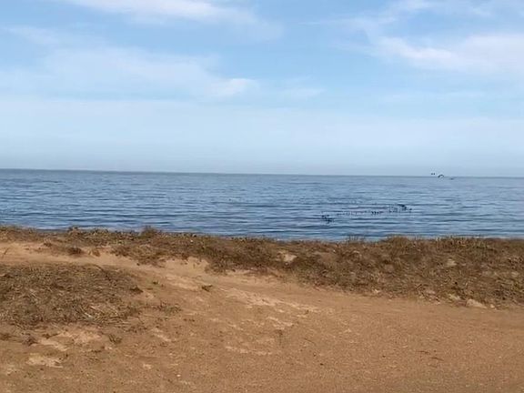 3rd image of SW Dolores 65 172 10 Ave