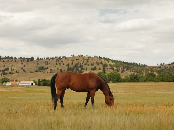 Robinson Rd, Belle Fourche, SD 57717