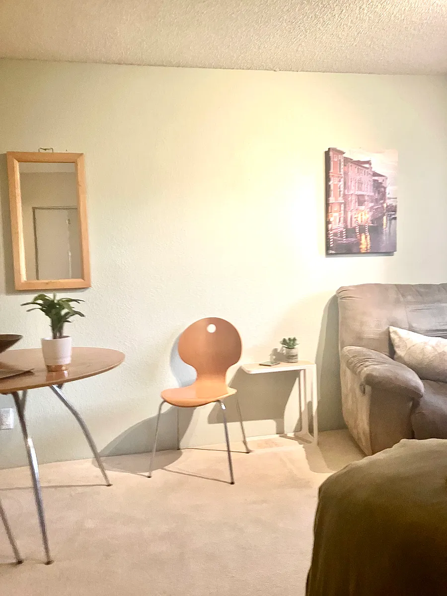Your sitting/lounging area - Friars Rd