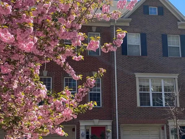 1419 N Scott St, Arlington, VA 22209