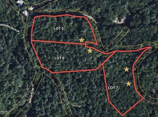 5 Sequoia Hills Ln, Clayton, GA 30525