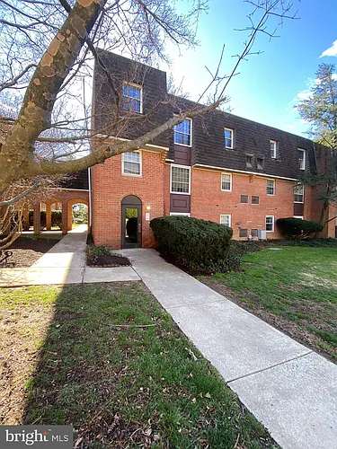 4000 Gypsy Ln #520 Photo 1