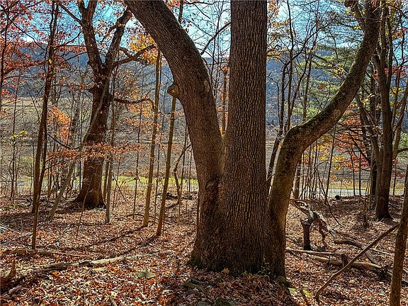 3rd image of Hathaway Hill Rd Lot 2