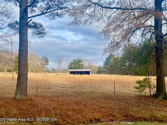 5th image of 4032 County Road 51