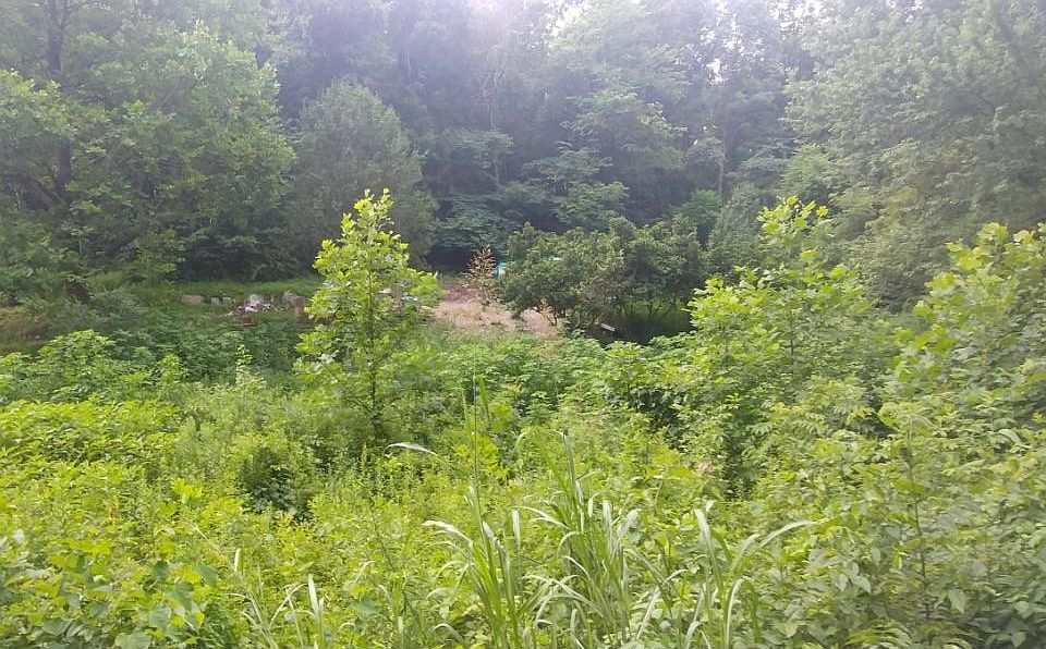 2nd image of 213 Jim Elliott Rd