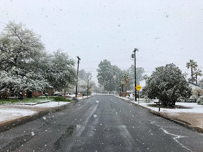Photo of rare Tucson snow day. This is a view down the street to the small neighborhood park to the west just 4 houses away. Alvernon neighborhood Park has large trees, a walk/ run path, basket ball court, baseball/softball field.