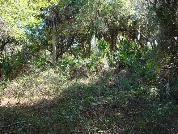 3rd image of 12167 SE South Hog Bay Ave