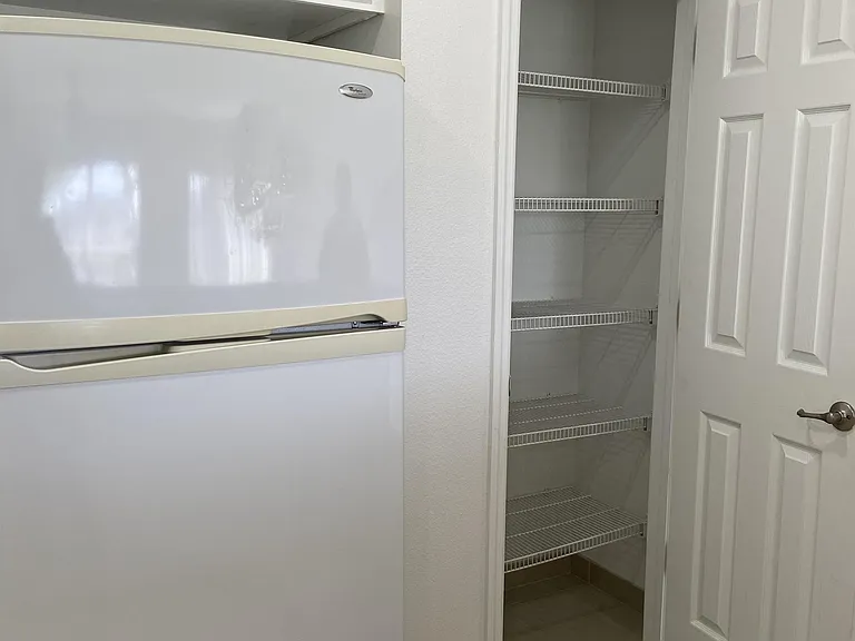 Kitchen view 4 with pantry