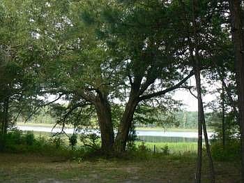 1st image of 217 Hammock Bay