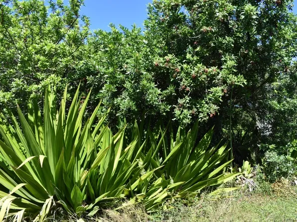 Holowai Rd Lot 7, Naalehu, HI 96772