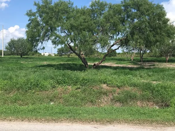 Briggs Coleman Rd, Harlingen, TX 78550