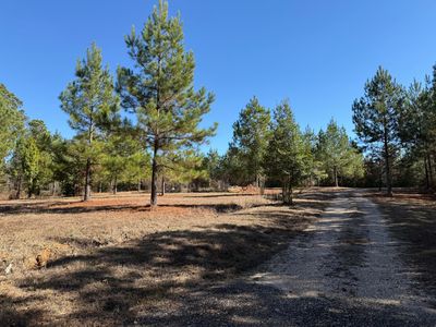 88 County Road 146, Quitman, MS, 39355