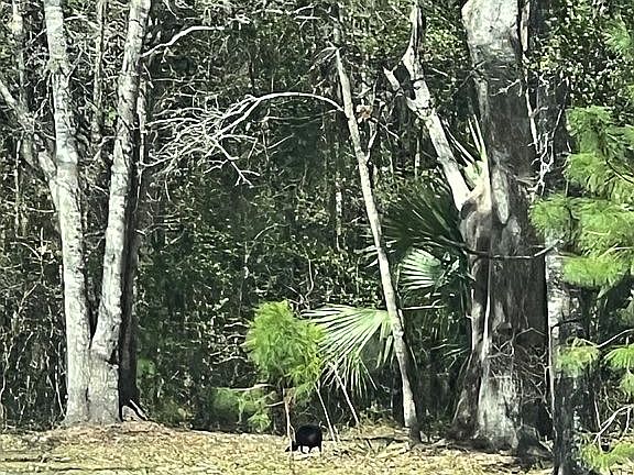 5th image of 44 Myrick Rd