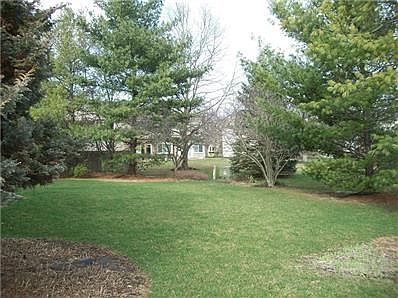 Mature trees provide lots of privacy in backyard