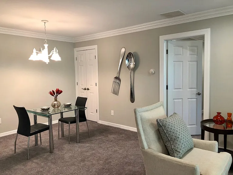 Premium Plush Gray Carpeting