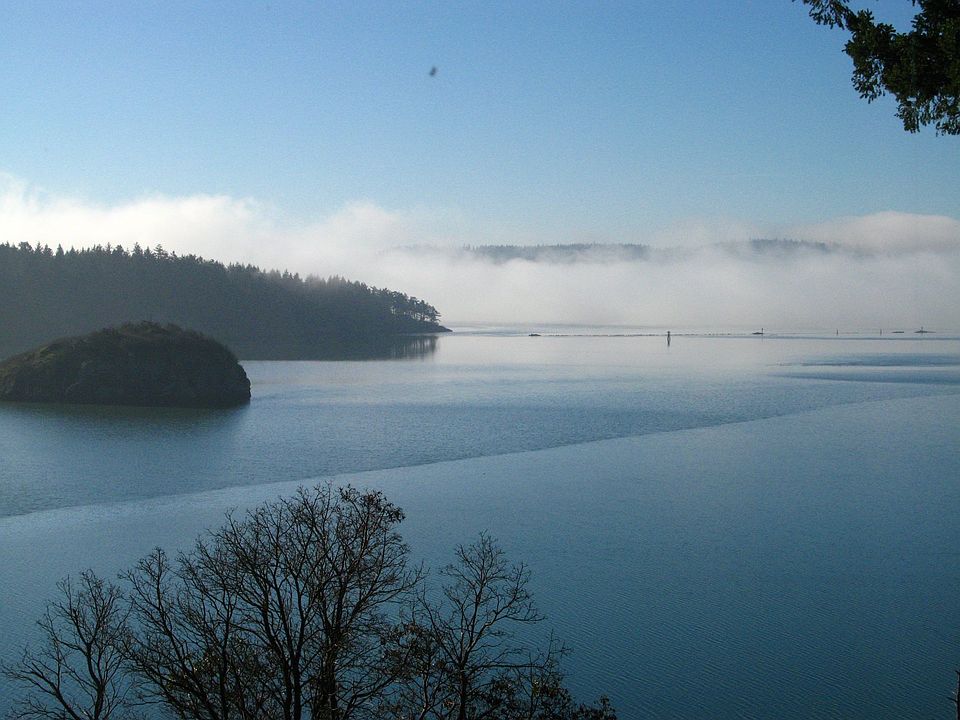 View to west