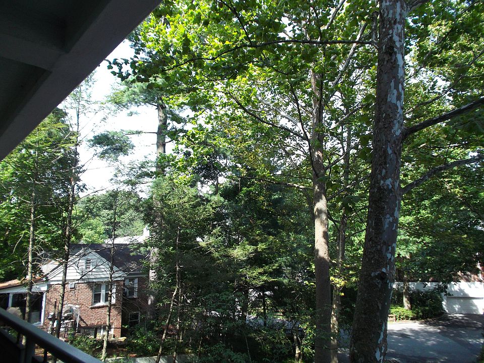view from terrace