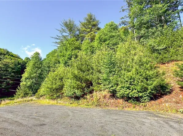TBD-13 PECK PEAK Road, Jefferson, NC 28640