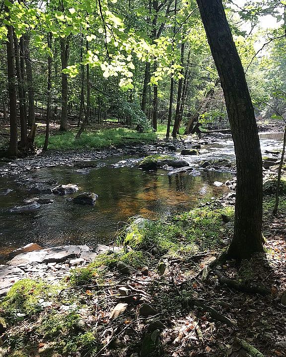 2nd image of 5774 Decker Rd