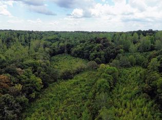 LOT 1 Salem Minor Hill Rd, Lester, AL 35647