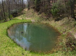 Lot 19 Double Cabin Rd, Dugspur, VA 24325