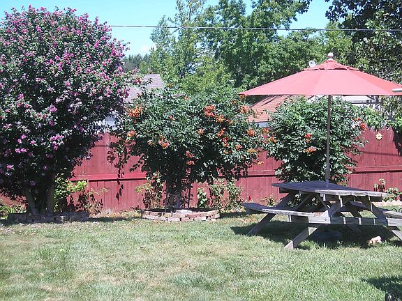 back yard