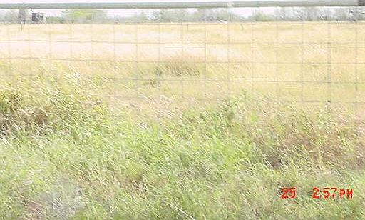 4th image of 20.48 CR 326 W