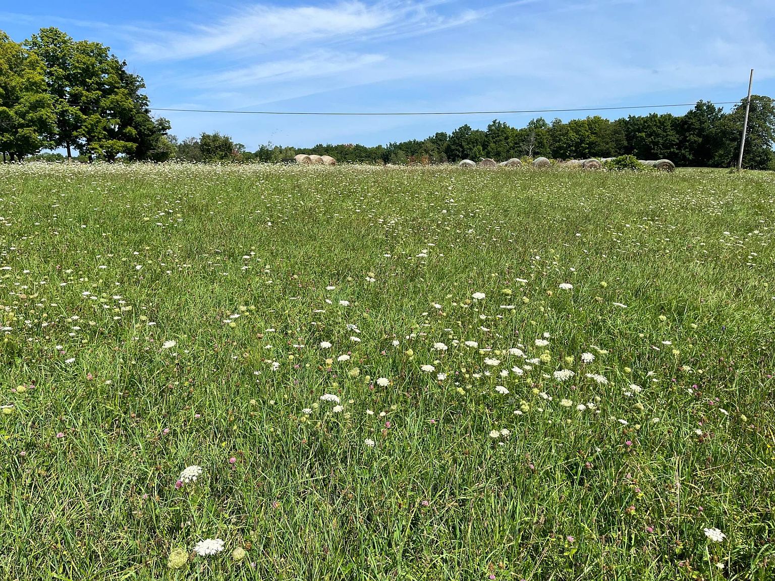 0 Morley Potsdam Rd LOT 7, Potsdam, NY 13676 MLS 11206806 Zillow