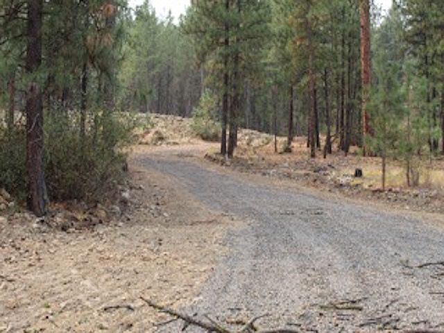 1st image of 31559 Ruffed Grouse Dr E