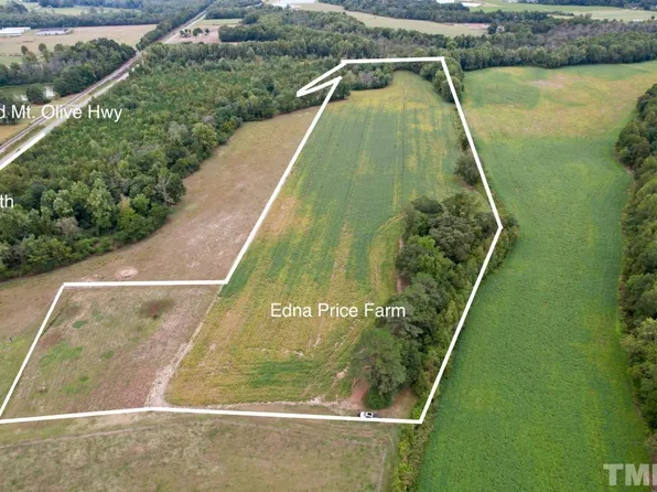 2946 Old Mount Olive Hwy, Dudley, NC 28333