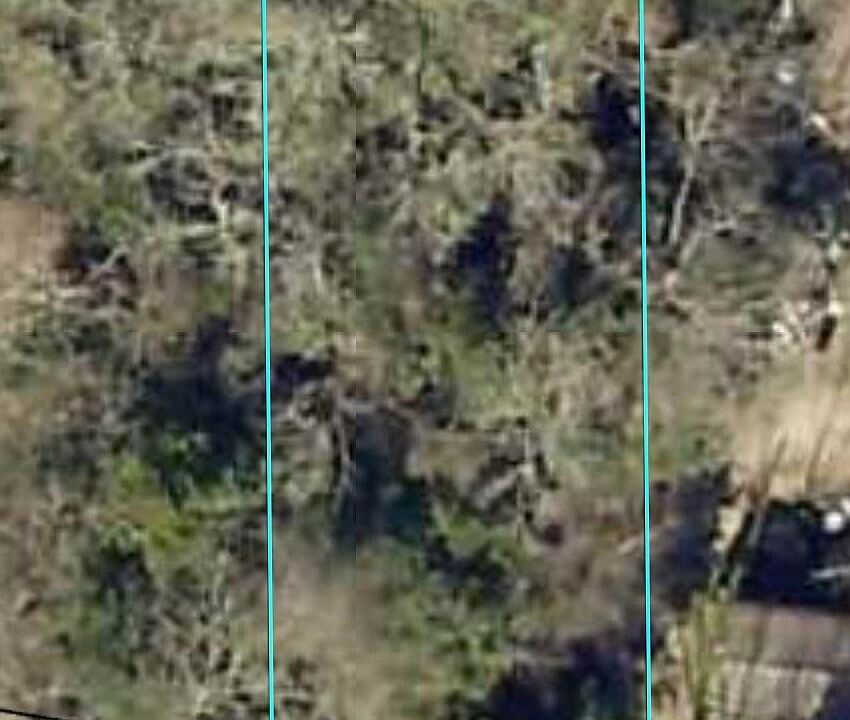 2nd image of Washington Ave