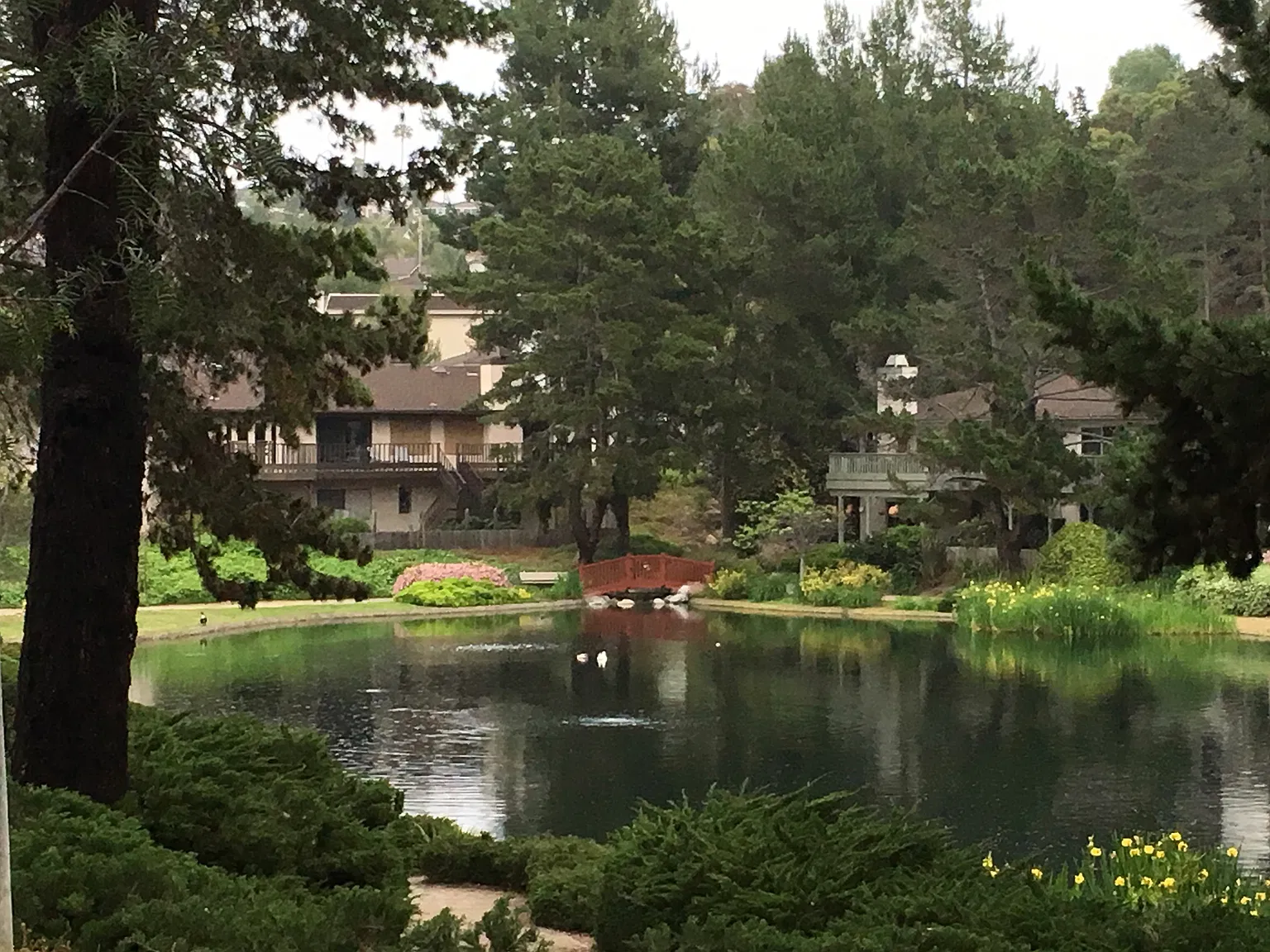 3 bed, 1548 sqft, $1,800 — Photo 4