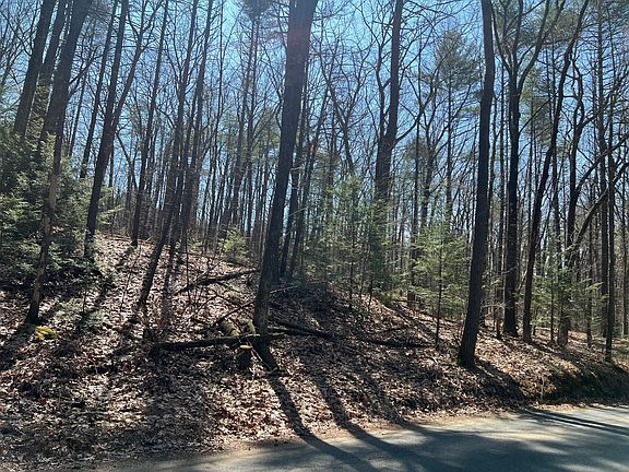 5th image of LOT 4 January Hills Rd