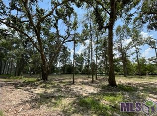 14317 Old River Rd, Maurepas, LA 70449