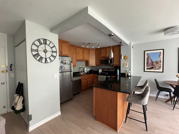 1255 N Sandburg Ter, Chicago, IL