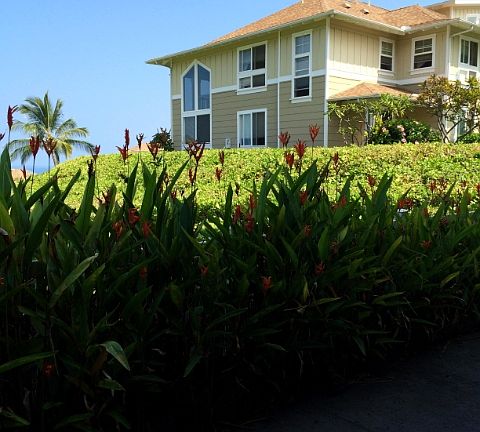 5th image of 75-6060 Kuakini Hwy
