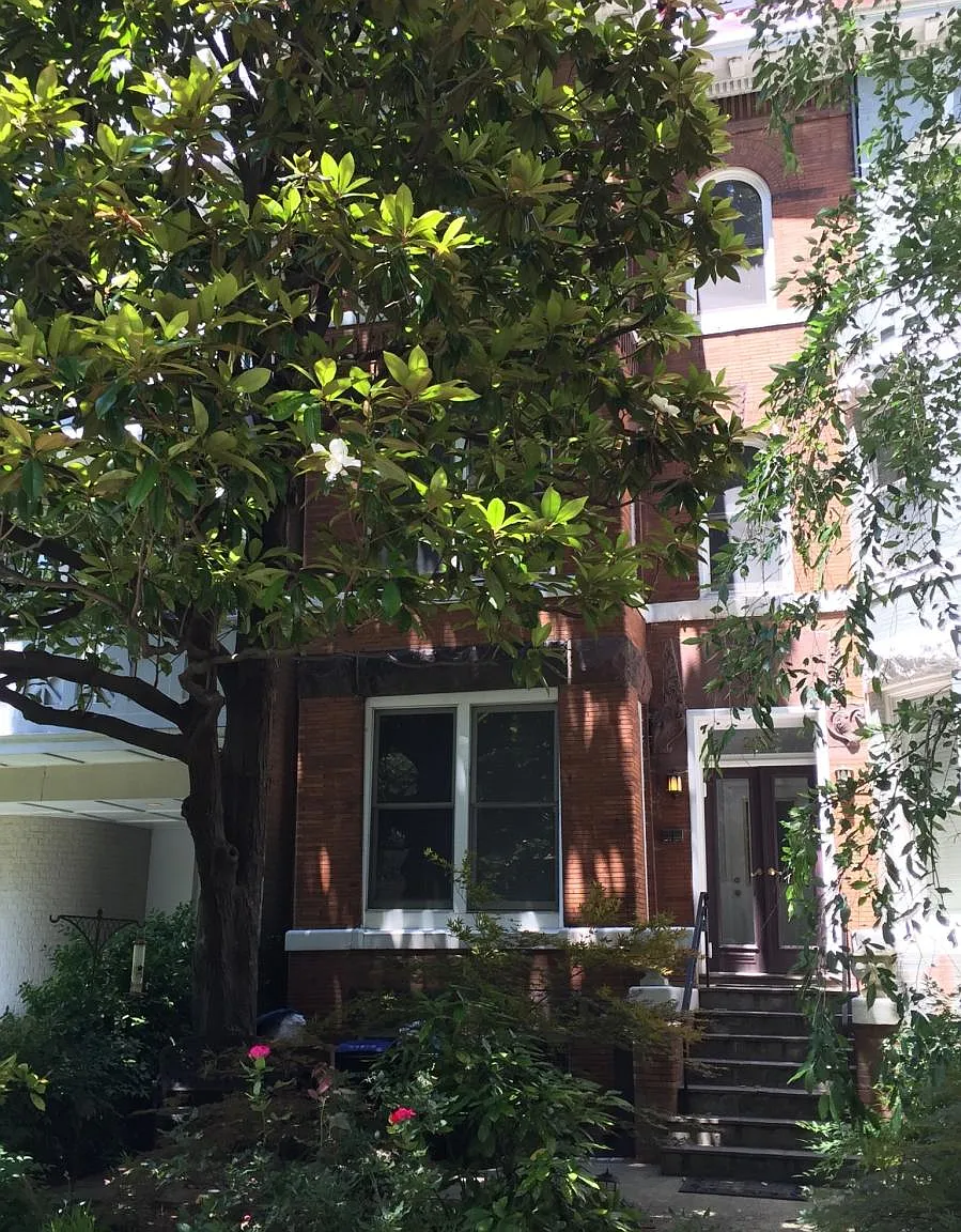 2 bed, 800 sqft, $2,950 — Photo 1