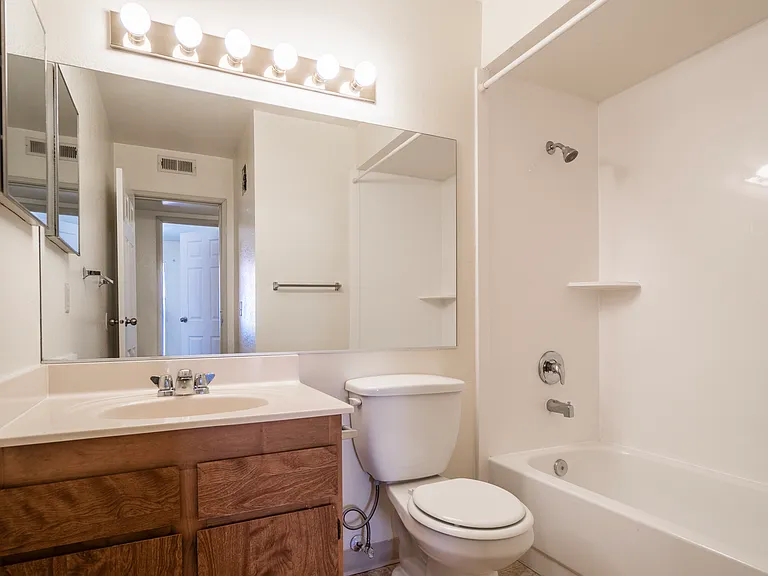 Hall bathroom