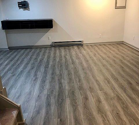 Family room/lower level