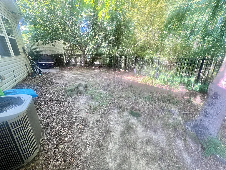 Backyard- Current