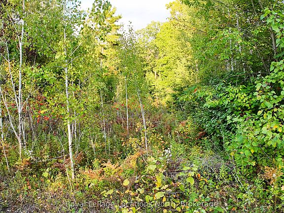 4th image of LOT 17 Ronald Ave